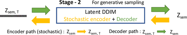 Figure 2 for ViT-DAE: Transformer-driven Diffusion Autoencoder for Histopathology Image Analysis