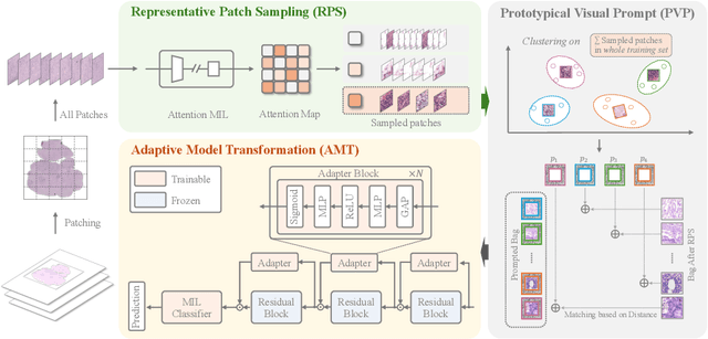 Figure 1 for Prompt-Guided Adaptive Model Transformation for Whole Slide Image Classification