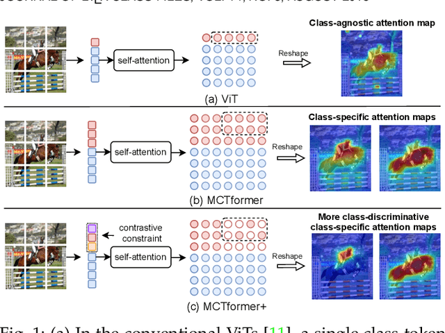 Figure 1 for MCTformer+: Multi-Class Token Transformer for Weakly Supervised Semantic Segmentation