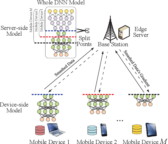 Figure 1 for Adaptive Split Learning over Energy-Constrained Wireless Edge Networks