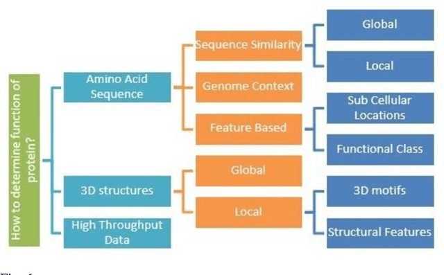 Figure 1 for A Review of Deep Learning Techniques for Protein Function Prediction