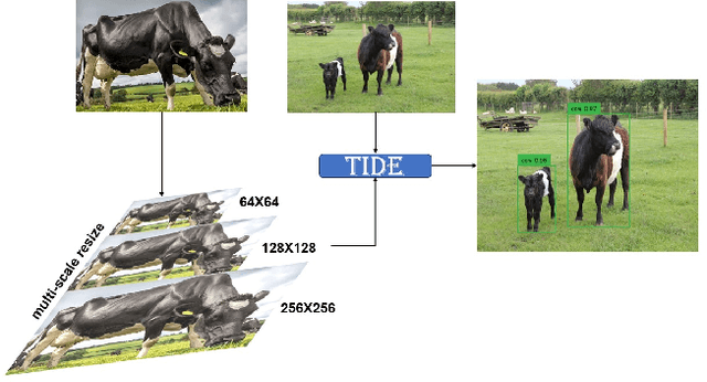 Figure 4 for TIDE: Test Time Few Shot Object Detection