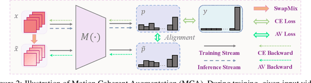 Figure 3 for Don't Judge by the Look: Towards Motion Coherent Video Representation