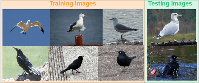 Figure 1 for Masking Strategies for Background Bias Removal in Computer Vision Models