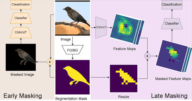 Figure 3 for Masking Strategies for Background Bias Removal in Computer Vision Models