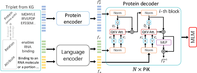 Figure 3 for Protein Representation Learning via Knowledge Enhanced Primary Structure Modeling