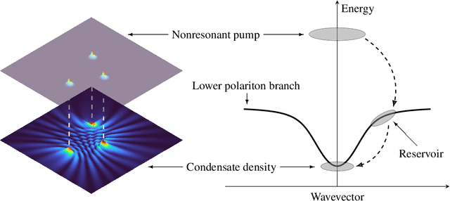 Figure 2 for Exciton-Polariton Condensates: A Fourier Neural Operator Approach