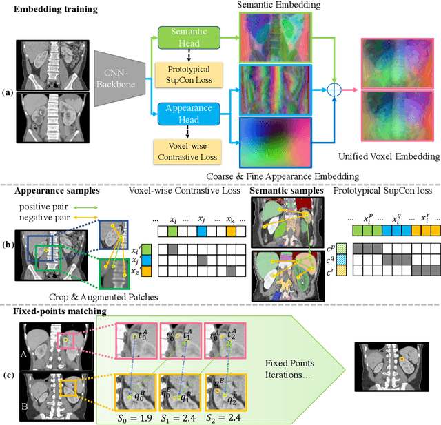 Figure 3 for SAM++: Enhancing Anatomic Matching using Semantic Information and Structural Inference