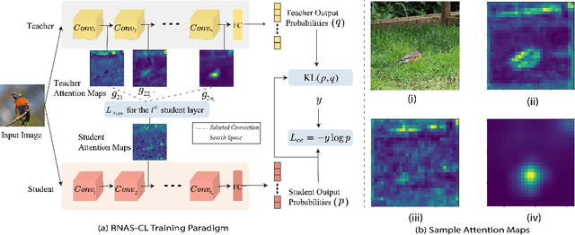 Figure 3 for RNAS-CL: Robust Neural Architecture Search by Cross-Layer Knowledge Distillation