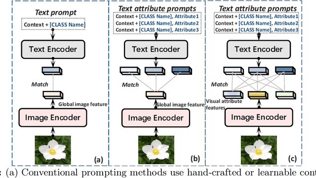 Figure 1 for Multi-modal Attribute Prompting for Vision-Language Models