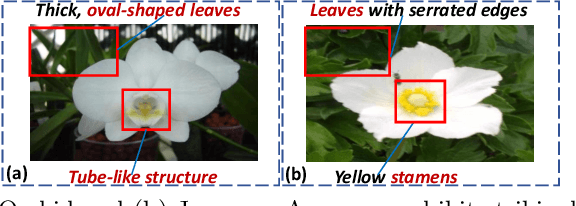Figure 3 for Multi-modal Attribute Prompting for Vision-Language Models