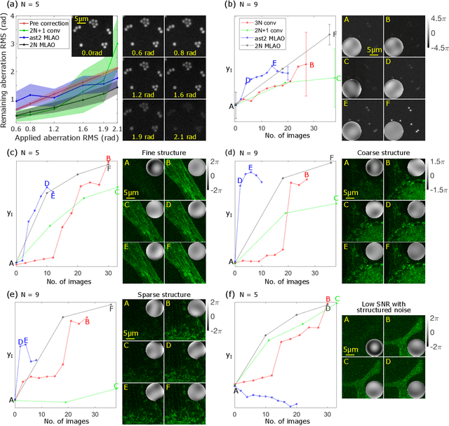 Figure 3 for Universal adaptive optics for microscopy through embedded neural network control