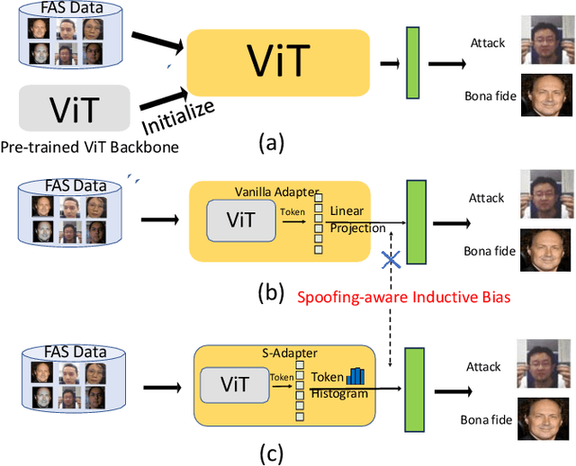 Figure 1 for S-Adapter: Generalizing Vision Transformer for Face Anti-Spoofing with Statistical Tokens