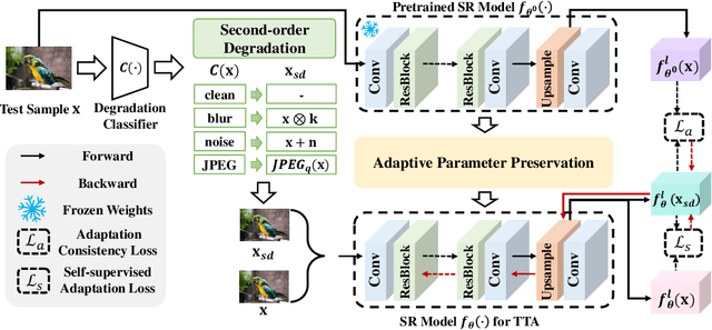 Figure 1 for Efficient Test-Time Adaptation for Super-Resolution with Second-Order Degradation and Reconstruction