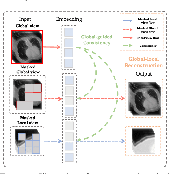 Figure 1 for Advancing Volumetric Medical Image Segmentation via Global-Local Masked Autoencoder