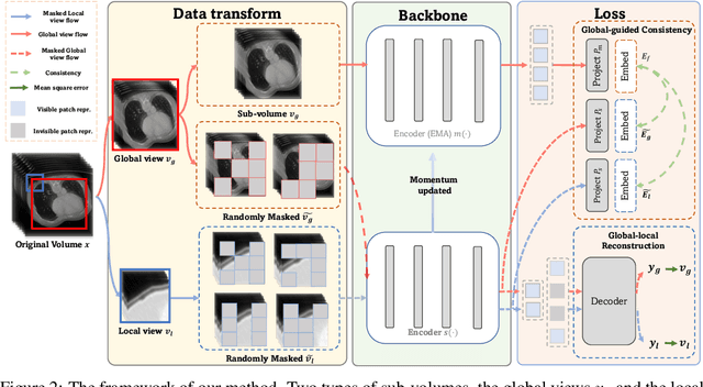 Figure 2 for Advancing Volumetric Medical Image Segmentation via Global-Local Masked Autoencoder