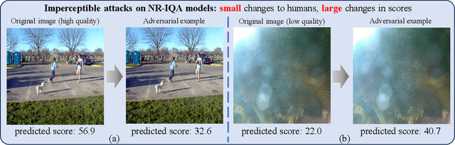 Figure 3 for Defense Against Adversarial Attacks on No-Reference Image Quality Models with Gradient Norm Regularization