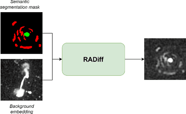 Figure 1 for RADiff: Controllable Diffusion Models for Radio Astronomical Maps Generation