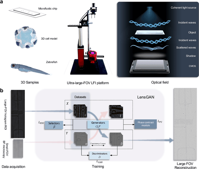 Figure 1 for Generative deep learning-enabled ultra-large field-of-view lens-free imaging