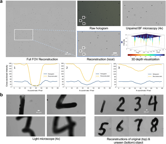Figure 4 for Generative deep learning-enabled ultra-large field-of-view lens-free imaging