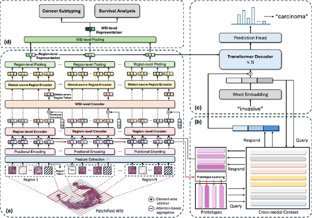 Figure 1 for HistGen: Histopathology Report Generation via Local-Global Feature Encoding and Cross-modal Context Interaction