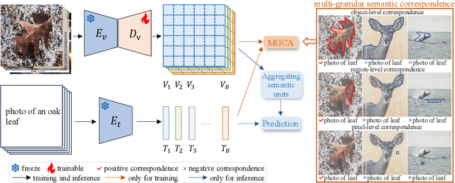 Figure 3 for Multi-Grained Cross-modal Alignment for Learning Open-vocabulary Semantic Segmentation from Text Supervision