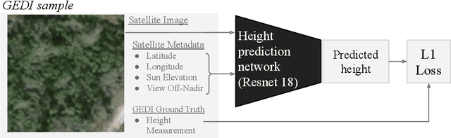 Figure 1 for Sub-meter resolution canopy height maps using self-supervised learning and a vision transformer trained on Aerial and GEDI Lidar