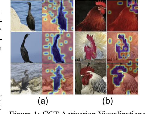 Figure 1 for Learning Decomposable and Debiased Representations via Attribute-Centric Information Bottlenecks