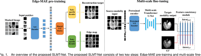Figure 1 for SLMT-Net: A Self-supervised Learning based Multi-scale Transformer Network for Cross-Modality MR Image Synthesis