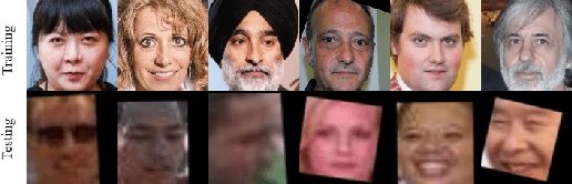 Figure 1 for Deep Boosting Multi-Modal Ensemble Face Recognition with Sample-Level Weighting