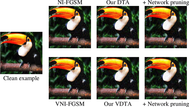 Figure 1 for Improving the Transferability of Adversarial Examples via Direction Tuning