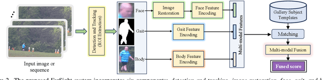 Figure 3 for FarSight: A Physics-Driven Whole-Body Biometric System at Large Distance and Altitude