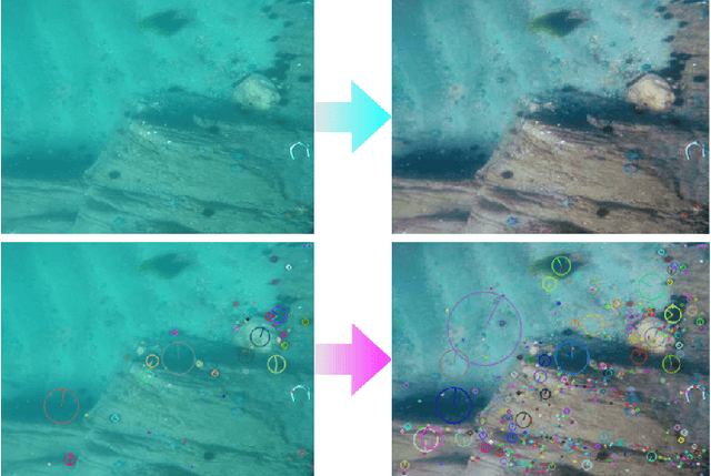 Figure 1 for Adaptive Uncertainty Distribution in Deep Learning for Unsupervised Underwater Image Enhancement
