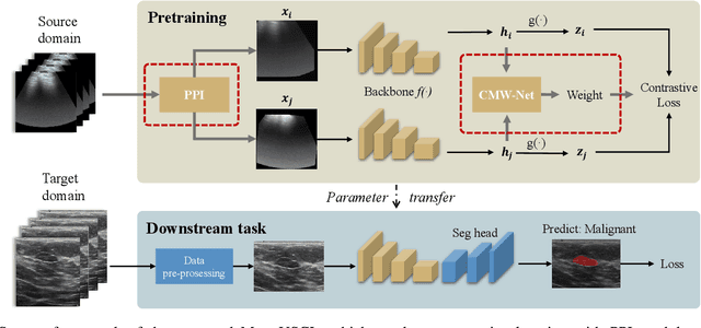Figure 2 for Generating and Weighting Semantically Consistent Sample Pairs for Ultrasound Contrastive Learning