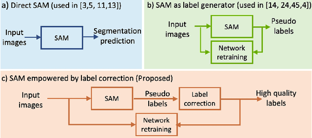 Figure 1 for Push the Boundary of SAM: A Pseudo-label Correction Framework for Medical Segmentation
