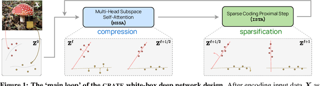 Figure 1 for White-Box Transformers via Sparse Rate Reduction