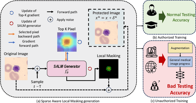Figure 1 for Medical Unlearnable Examples: Securing Medical Data from Unauthorized Traning via Sparsity-Aware Local Masking