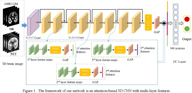 Figure 1 for Attention-based 3D CNN with Multi-layer Features for Alzheimer's Disease Diagnosis using Brain Images