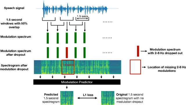 Figure 1 for Self-supervised Learning with Speech Modulation Dropout