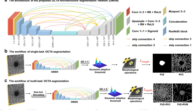 Figure 1 for OMSN and FAROS: OCTA Microstructure Segmentation Network and Fully Annotated Retinal OCTA Segmentation Dataset