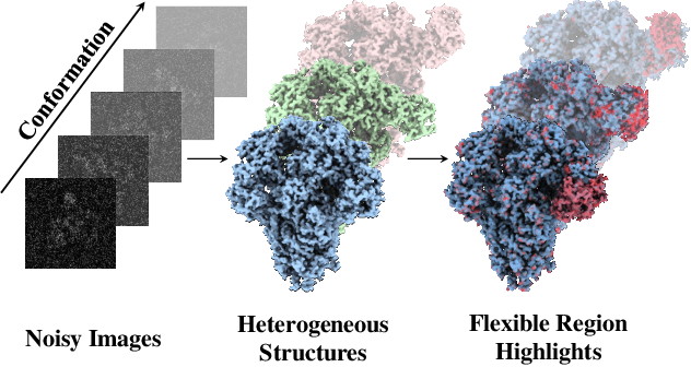 Figure 1 for CryoFormer: Continuous Reconstruction of 3D Structures from Cryo-EM Data using Transformer-based Neural Representations