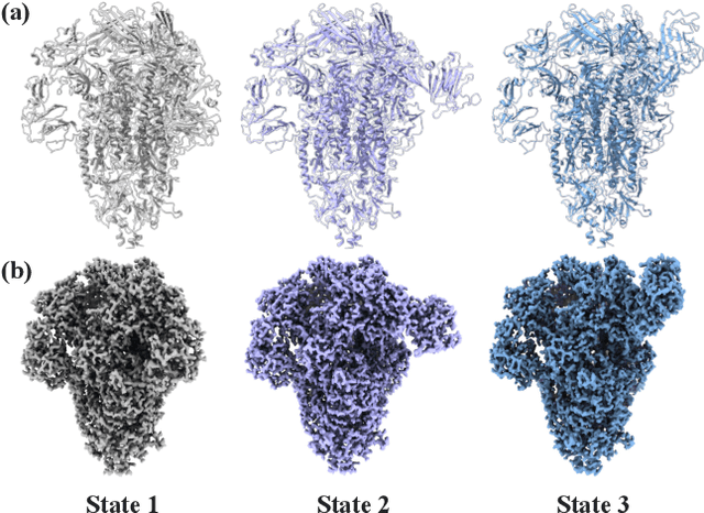 Figure 4 for CryoFormer: Continuous Reconstruction of 3D Structures from Cryo-EM Data using Transformer-based Neural Representations