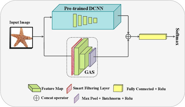 Figure 3 for Global-Local Processing in Convolutional Neural Networks