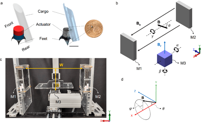 Figure 1 for A Magnetic Millirobot Walks on Slippery Biological Surfaces for Targeted Cargo Delivery
