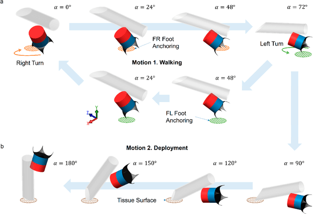 Figure 2 for A Magnetic Millirobot Walks on Slippery Biological Surfaces for Targeted Cargo Delivery