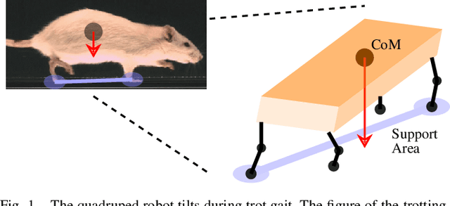 Figure 1 for Optimizing Dynamic Balance in a Rat Robot via the Lateral Flexion of a Soft Actuated Spine