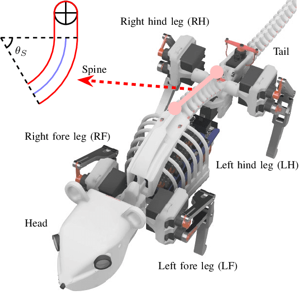 Figure 2 for Optimizing Dynamic Balance in a Rat Robot via the Lateral Flexion of a Soft Actuated Spine