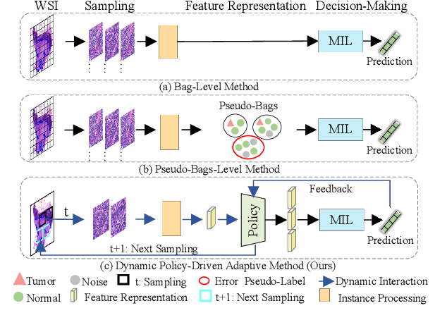 Figure 1 for Dynamic Policy-Driven Adaptive Multi-Instance Learning for Whole Slide Image Classification