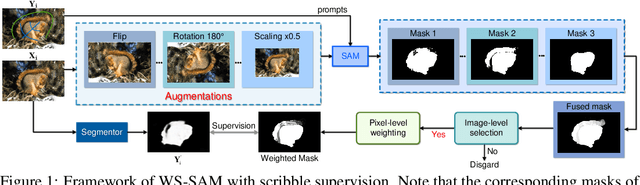 Figure 1 for Weakly-Supervised Concealed Object Segmentation with SAM-based Pseudo Labeling and Multi-scale Feature Grouping