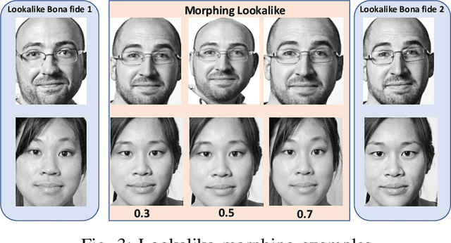 Figure 3 for Vulnerability of Face Morphing Attacks: A Case Study on Lookalike and Identical Twins